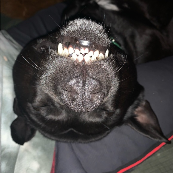 Meet your Posher, Alissa - Picture 3 of 16